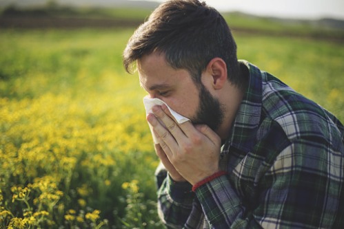 5-most-common-allergies