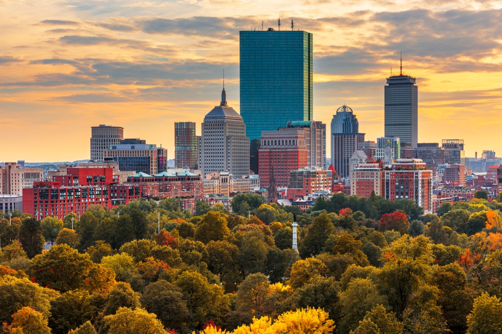 Which Plants Cause a Pollen Allergy in Massachusetts?