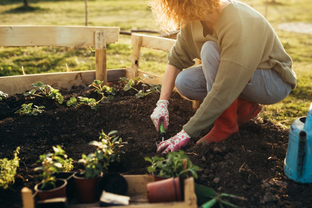 Combatting Plant Allergies While Gardening This Spring