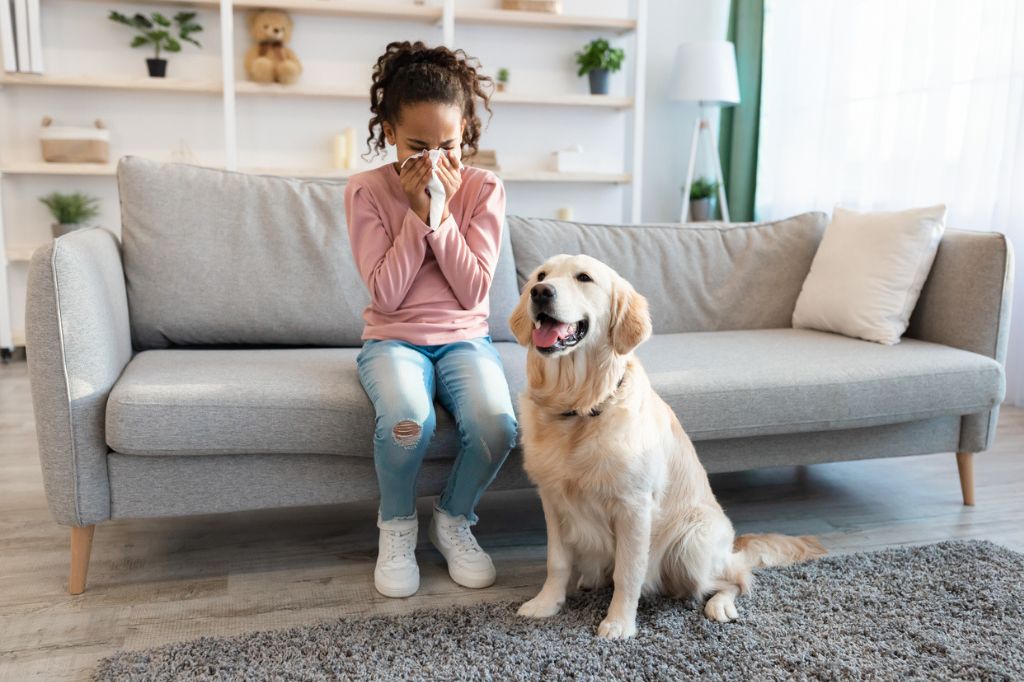 Pet-allergies-can-you-live-comfortably-with-pets